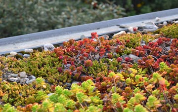 the cost of Rogerstone green roof installation