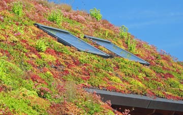 Rogerstone living roof systems