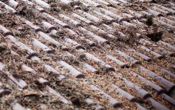 Rogerstone roof cleaning companies