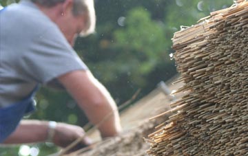 professional Rogerstone thatchers