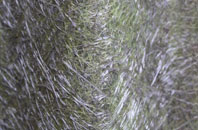 Rogerstone fibreglass roof work